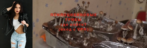 прущие грибы Армянск