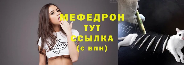 дмт Арсеньев