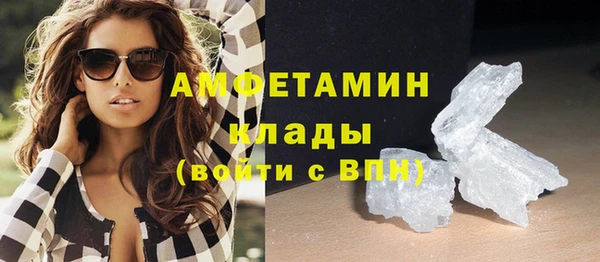 прущие грибы Армянск