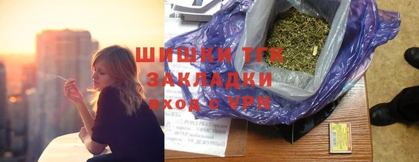 прущие грибы Армянск