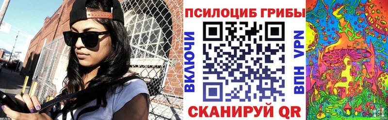 наркошоп  Учалы  ОМГ ОМГ   Псилоцибиновые грибы Psilocybe 